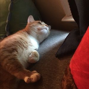 Meet your Posher, Jon